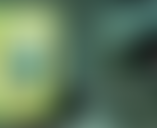 Kitap Önerisi: Kelebeğin Kaderi