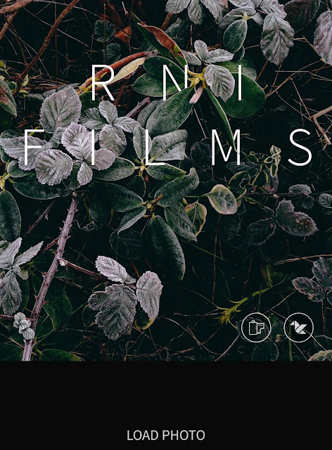 RNI Films Filter