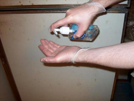 The Seasoned Breeder’s Guide to Syringe Dosing: Safely Medicate your : Gouldians, Finches, and Canaries