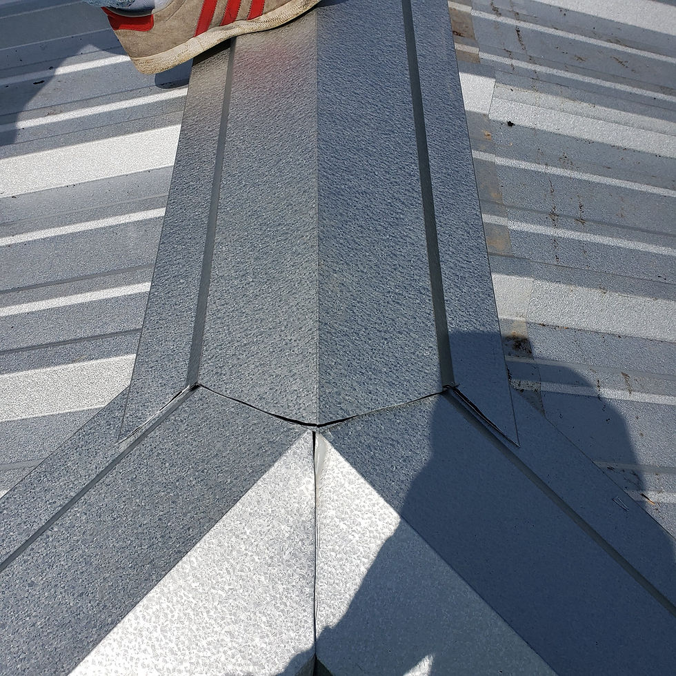 20200913_144953.jpg