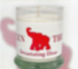 Delta Sigma Theta Soy Wax Candle 