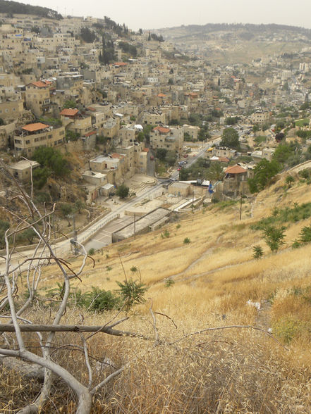 The Kidron Valley Below the Temple Mount
