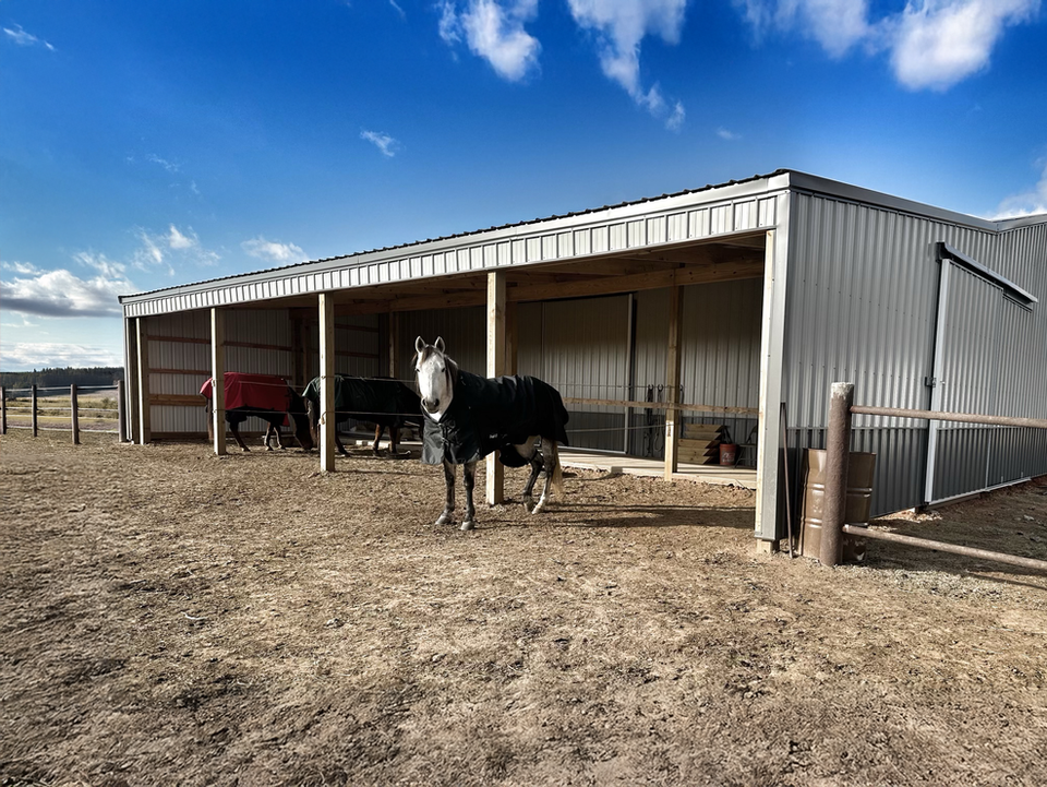 Gray equestrian building with black wainscoting and three horses inside
