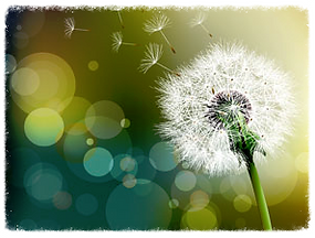 Access Consciousness