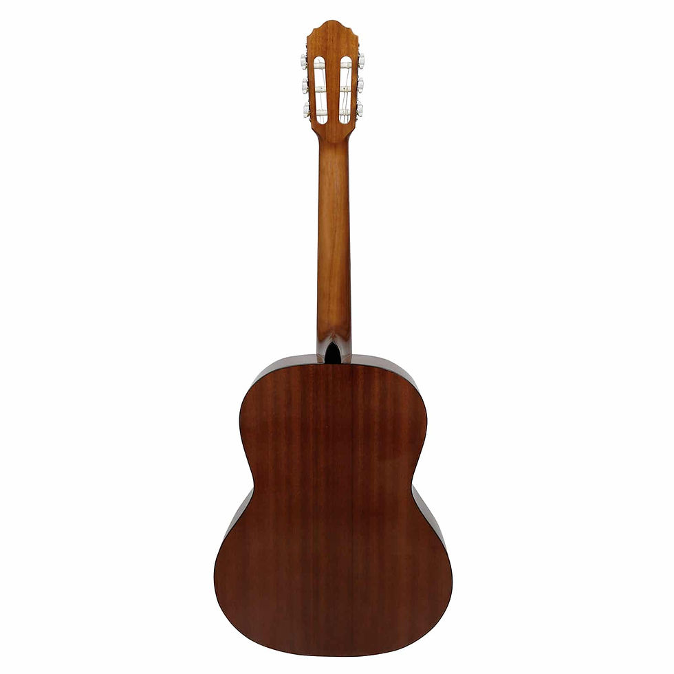 Miniatura: Violão Náilon Acústico Giannini Performance Plus N-17 Natural (N)