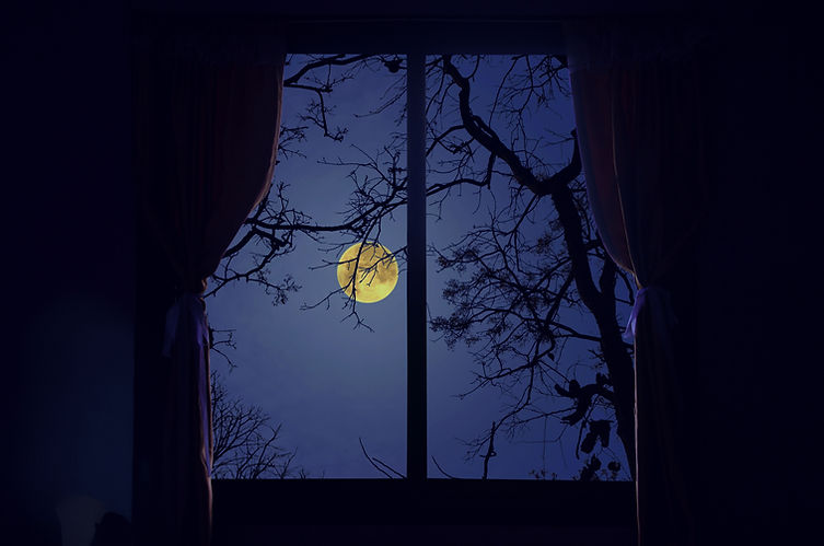 Beautiful big full moon in forest in evening, moonlight drop in flower vase in a house_edi
