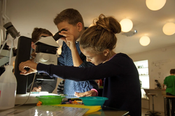 Citizen science: Not a scientist? Not a problem