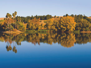 Bernhard Krevet Remembering a Dedicated Champion of the Friends of the Napa River 