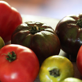 picotiere-tomates-465x465.jpeg