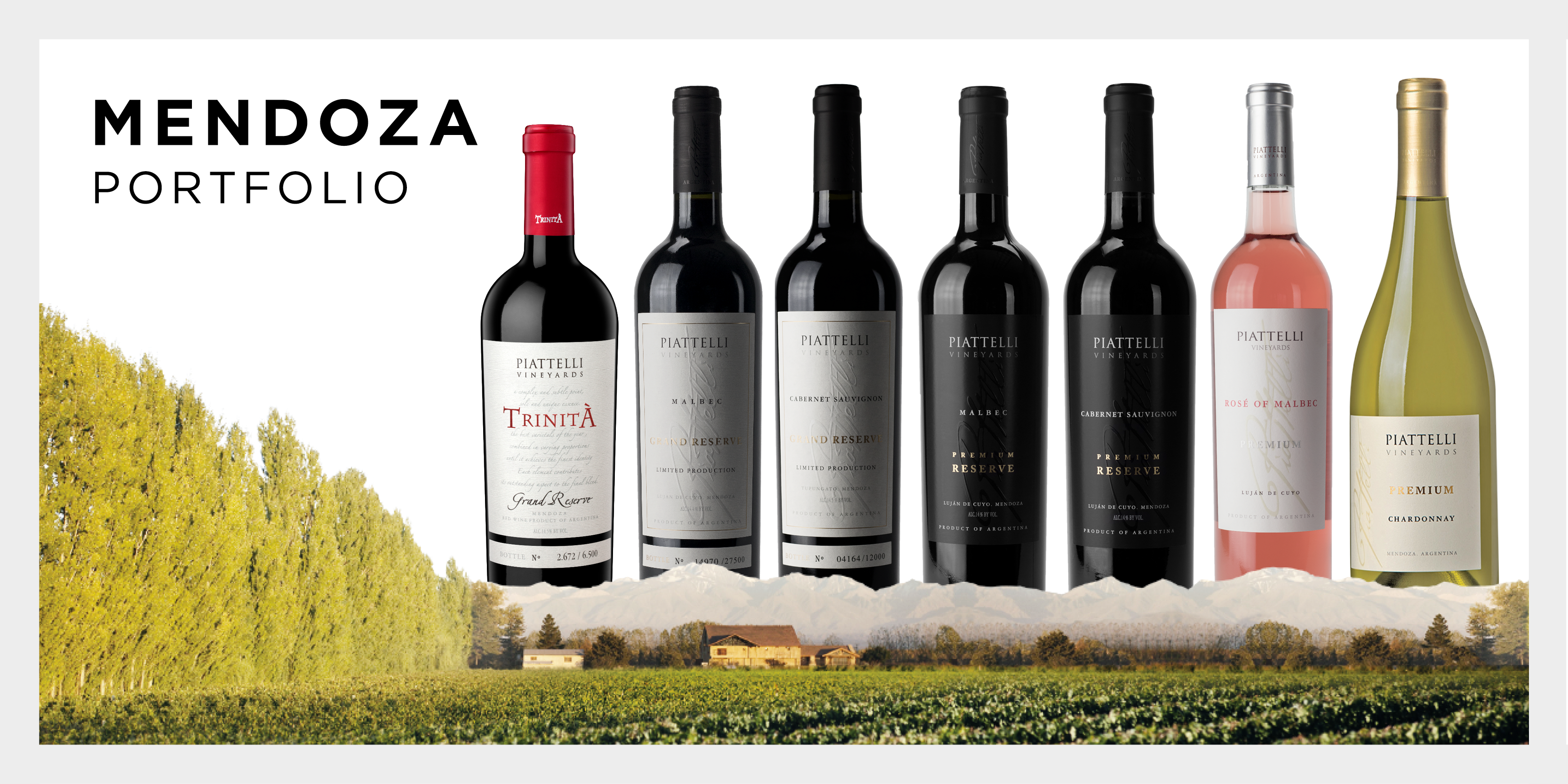 Portafolio Mendoza