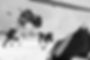 back-view-of-hockey-player-in-sports-uniform-and-g-2023-11-27-05-05-00-utc_edited.jpg