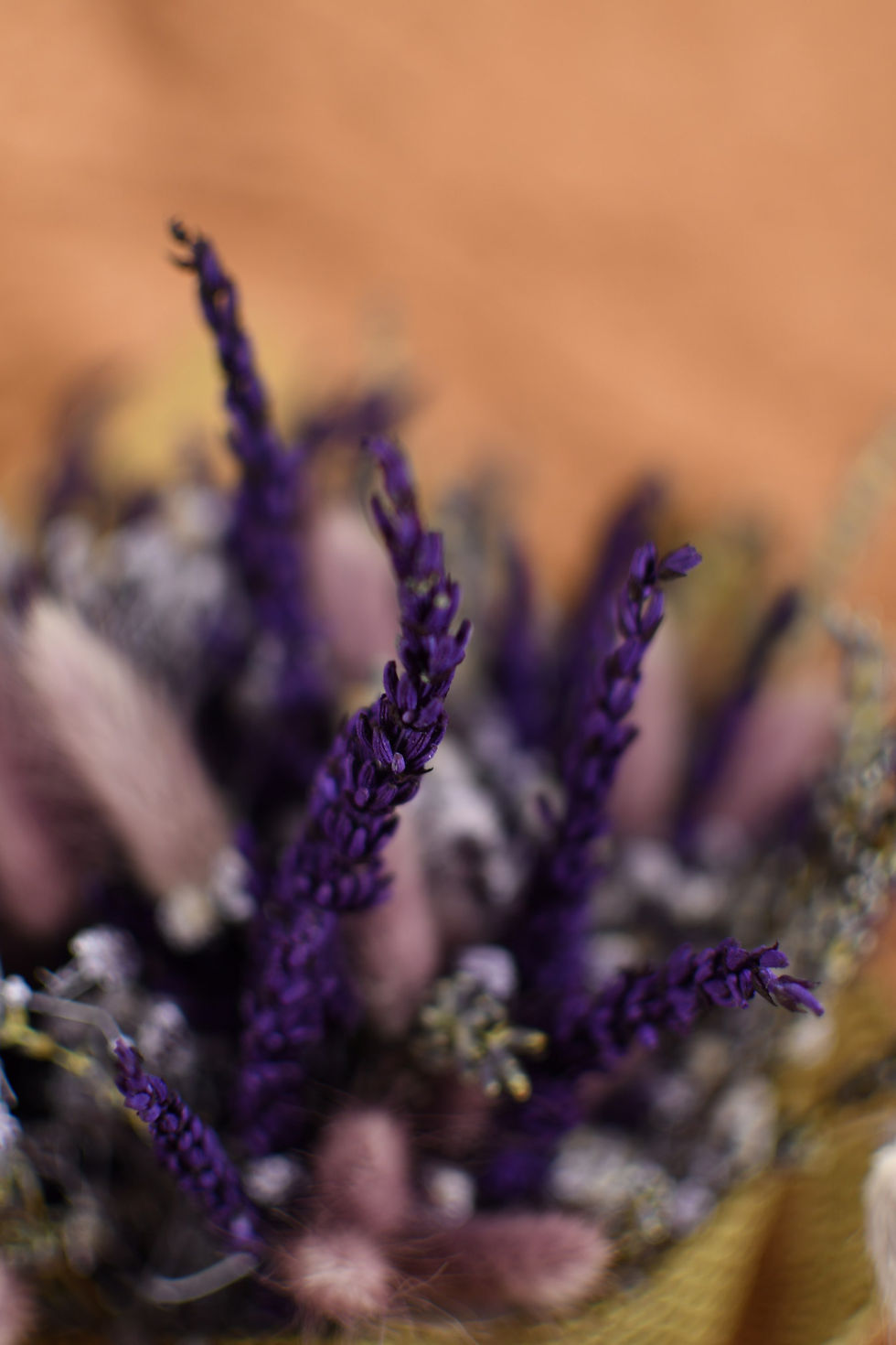 Miniatura: Pink Lavanda