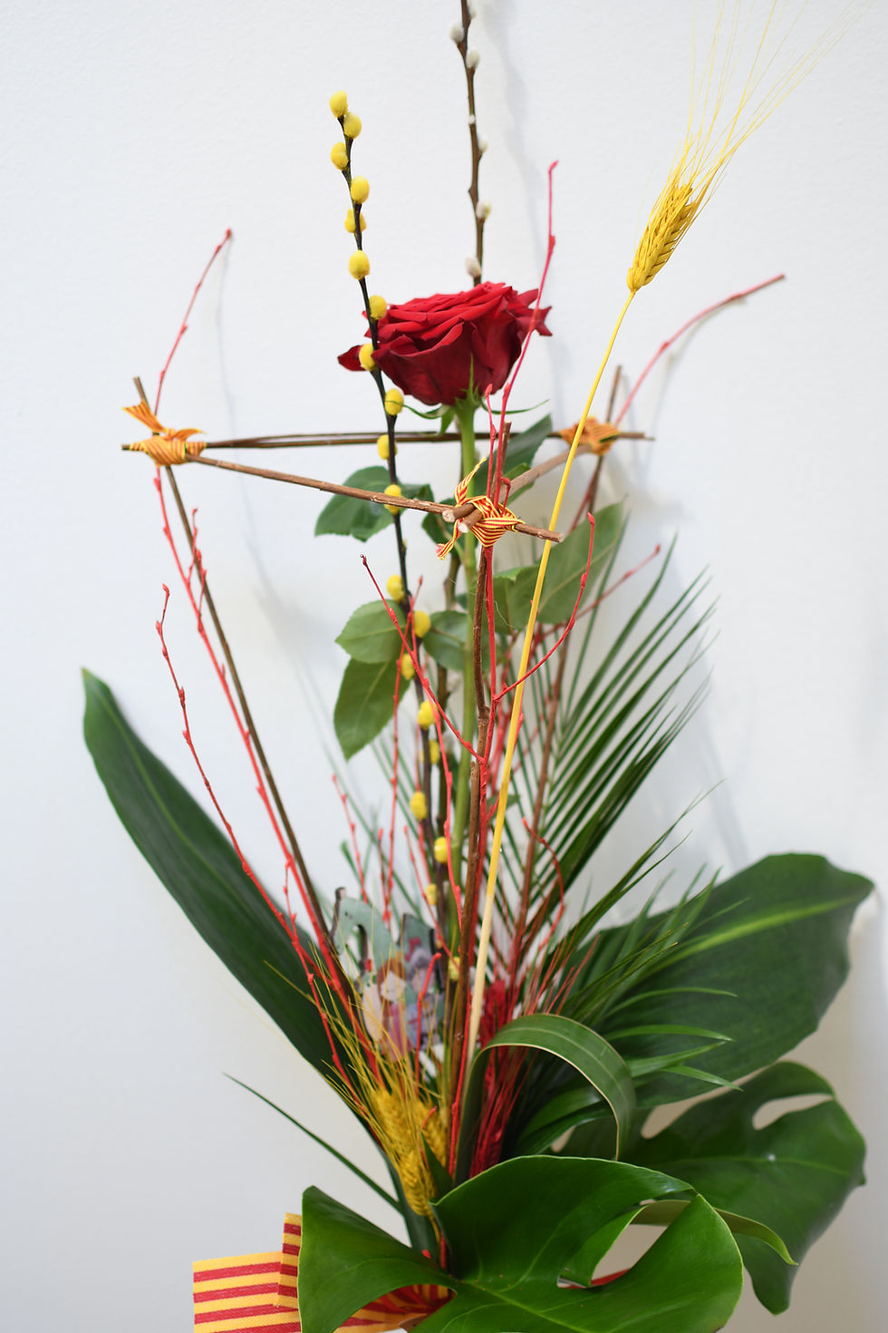 Miniatura: Rosa Súper