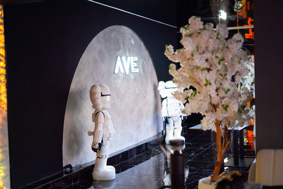 Bild AVE13