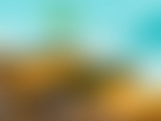 Utilización de la Madera en sistemas de transporte de material a Granel