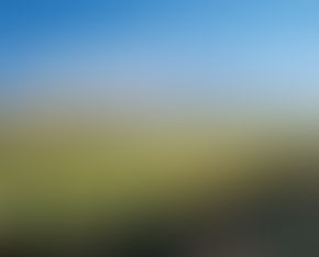 Contaminación ambiental (odorante y microbiológica) en viñedos 