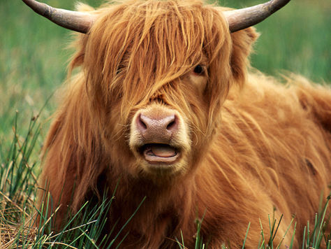 Tout Ce Que Je Sais, C'est Que L'un De Nous A Raison Et L'autre, C'est Toi