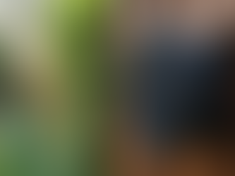 Top Solutions for Outdoor Sound Systems