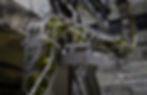 Cannedgoods copy.jpg