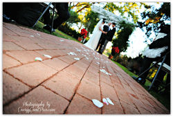 Wedding Day Photography