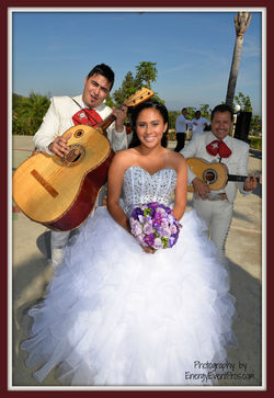 Lorie Brown, Photographer