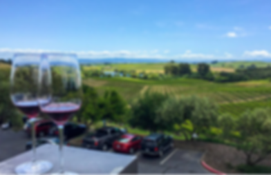 7 Best Napa Wine Tastings to Visit Right Now_edited_edited.png