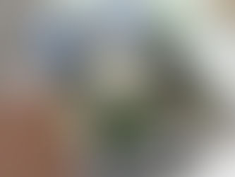 📚 À l’Ombre de la Forteresse maintenant disponible en Ontario !