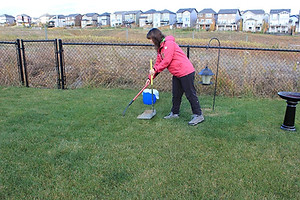 Paskapoo Pet Services cleaning a back yard for a client