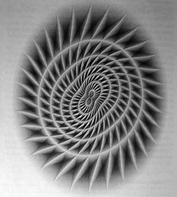 untitled-2-maurice-tani-digital-composit