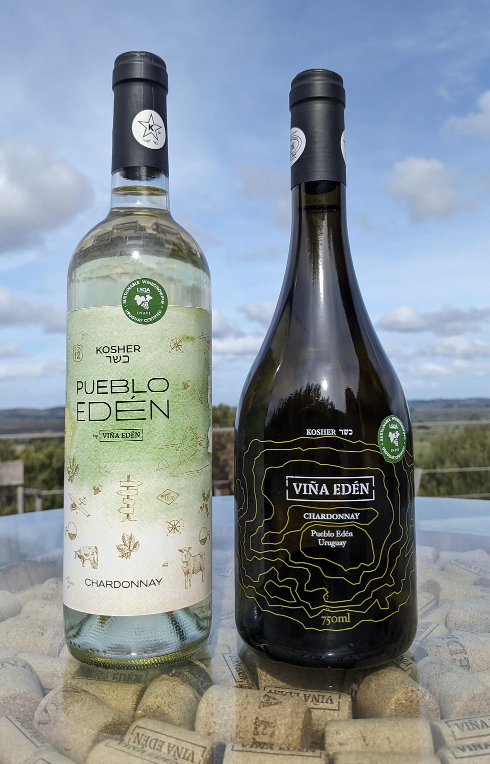 Miniatura: • Vino Pueblo Eden Chardonnay Kosher