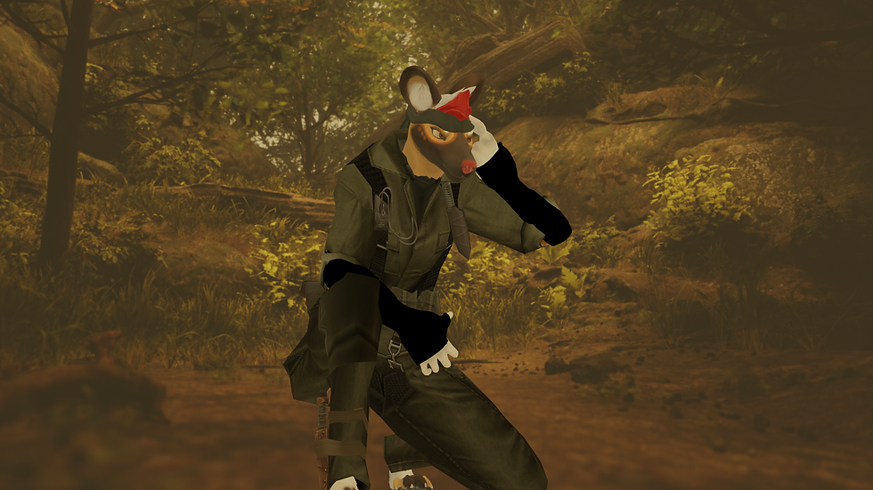 MSGD5.png
