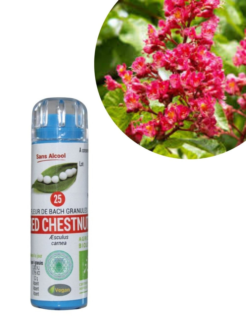 Red chestnut N°25 Granules