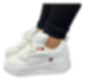 ZAPATILLAS O TENIS PARA DAMA