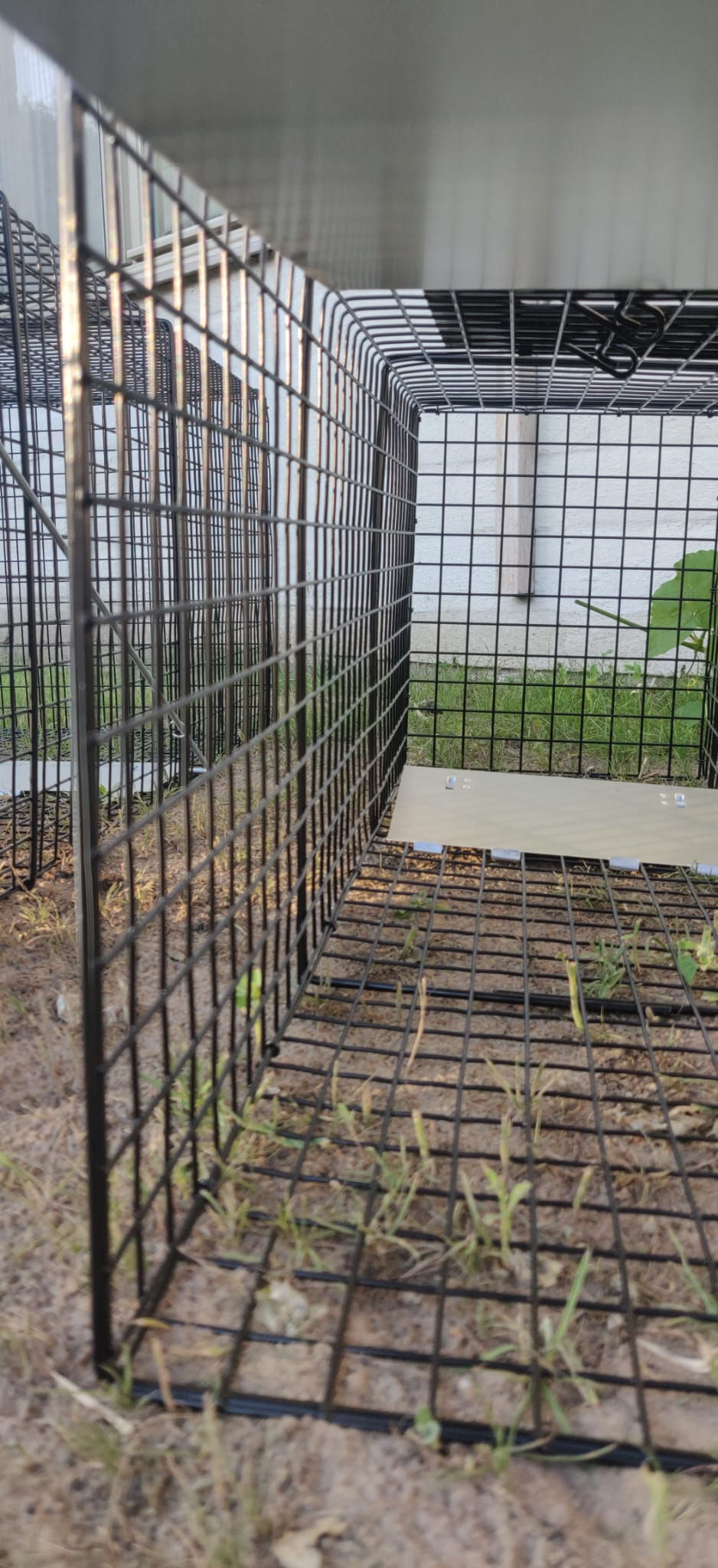 Thumbnail: RATTENVAL