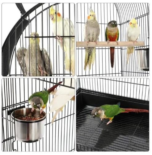 Thumbnail: Petlux Oasis A 100