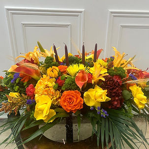 WhatsApp Image 2025-08-19 at 1.11_edited.jpg