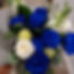 WhatsApp Image 2025-08-19 at 11.04_edited.jpg