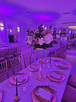 WhatsApp Image 2026-03-15 at 09.02.54 (1).jpeg