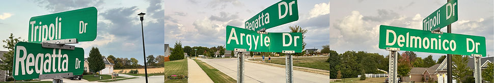 street signs.jpg