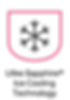ICON-19.png