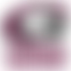 CSC Announces Academic Honors For Students