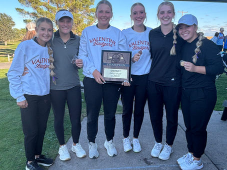 Lady Badger Golfers Win District Championship