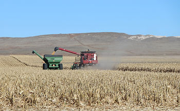 Ag producers are invited to learn how to navigate the transition of
agricultural operations to the next generation in the "Farm & Ranch Legacy
Workshop." Photo by Chabella Guzman