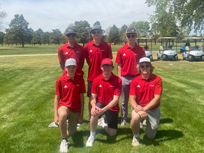 District Golf Results