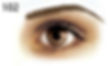 Temporary Eyebrow Tattoos - Light Brown
