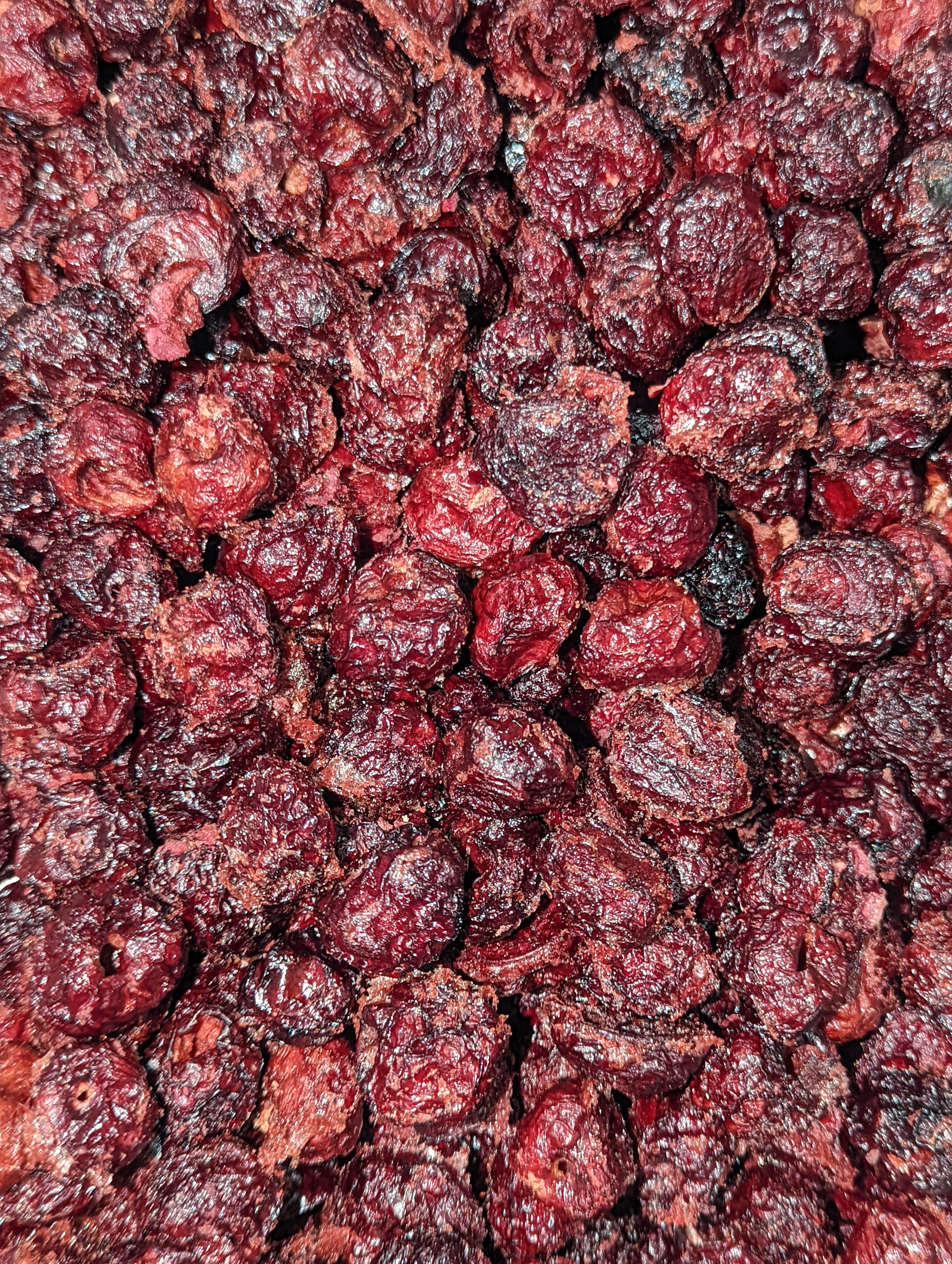 Wholesale Cherries Freeze Dried, Dark Sweet, Pitted (Organic and NON-GMO)