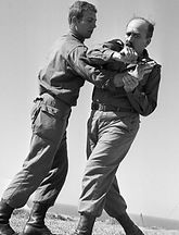 istorie krav maga tehnica autoaparare