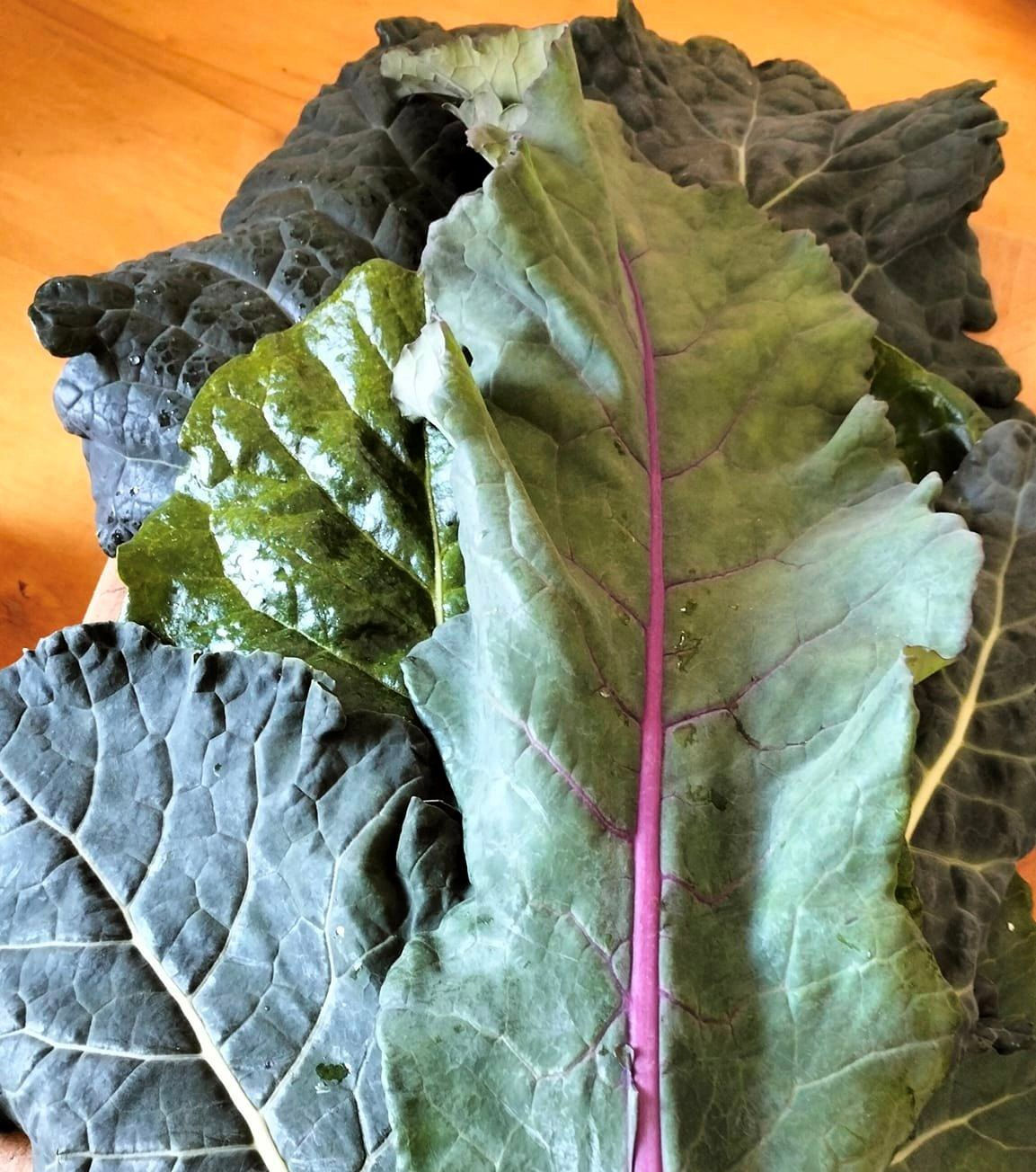 Leafy Green Mix for smoothies - 300g | Quail Retreat Garden