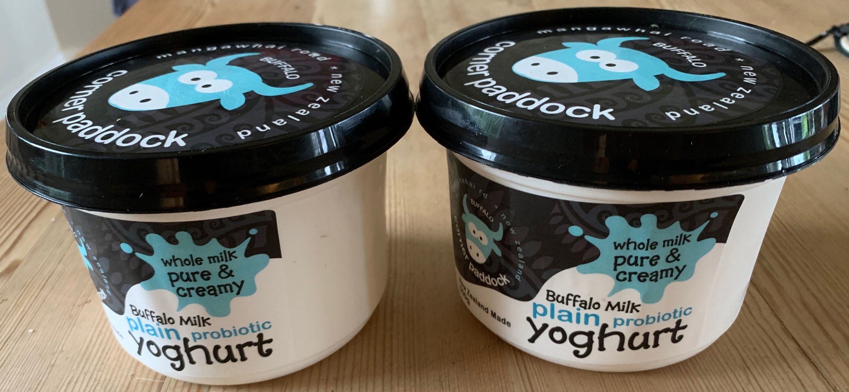 Buffalo Yoghurt - 3 - special  | Mangawhai Road Corner Paddock