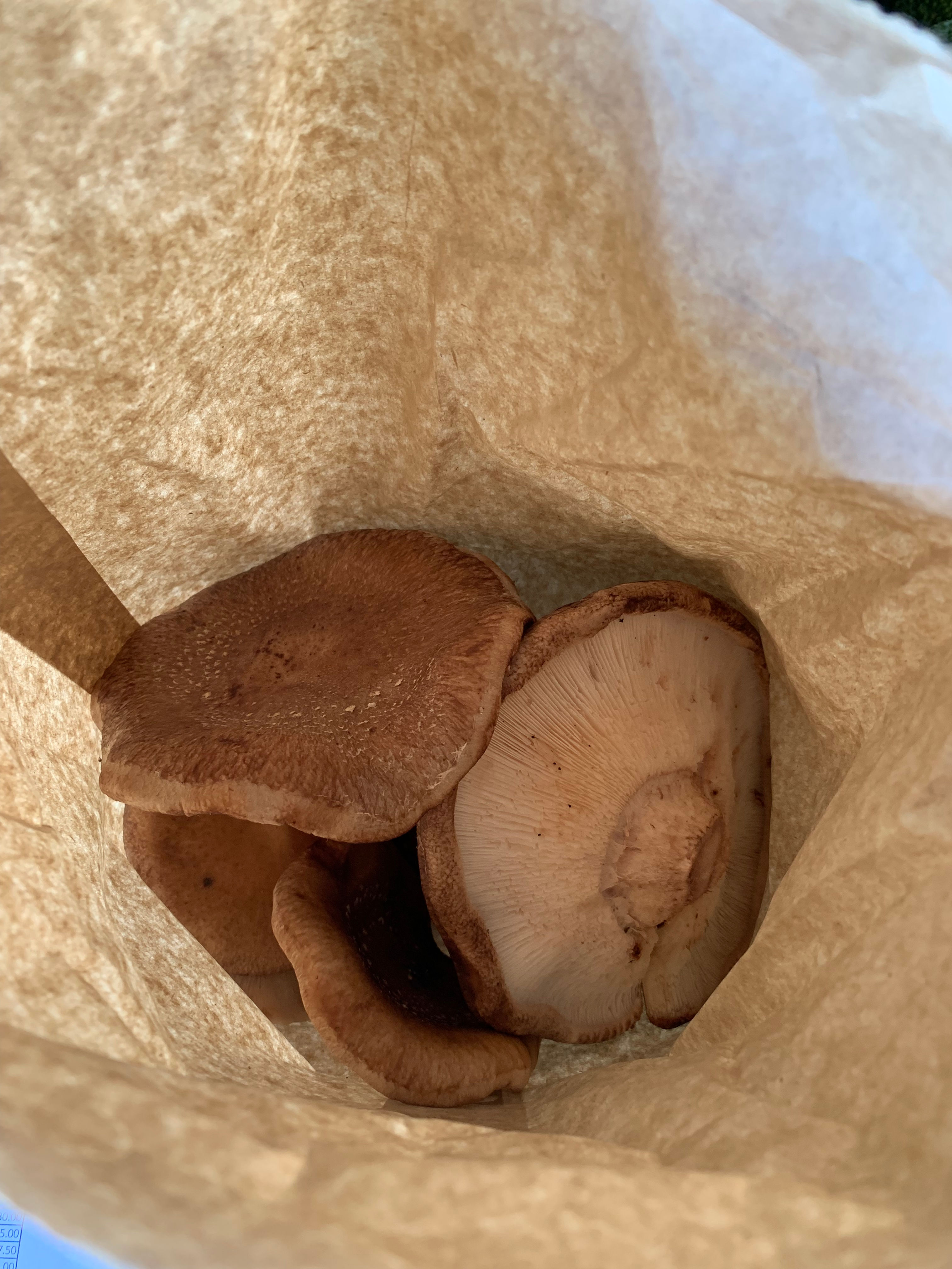 Mushroom Seconds - Mix - 500g | Ora's Farm